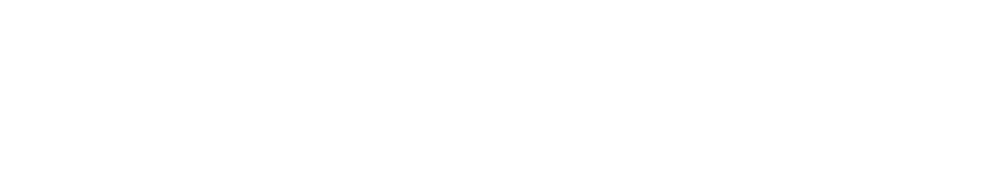 WingMan OPS
